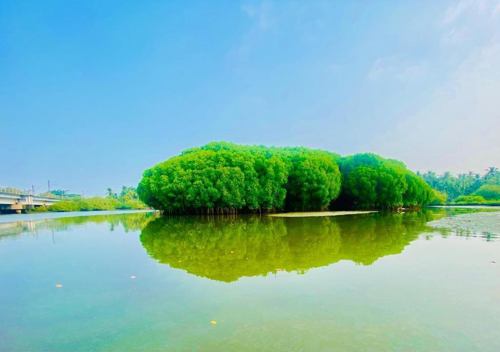 Green Island Homestay Riverside 科泽科德 外观 照片