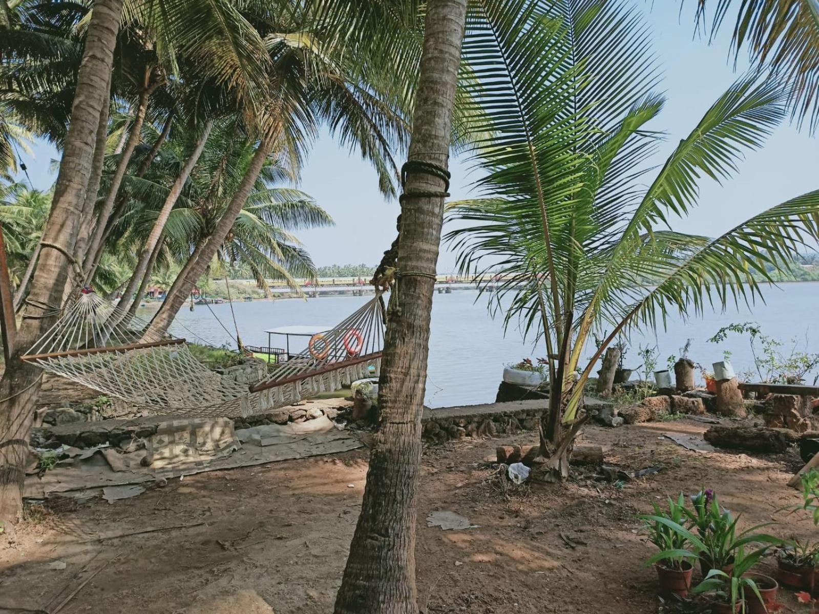 Green Island Homestay Riverside 科泽科德 外观 照片